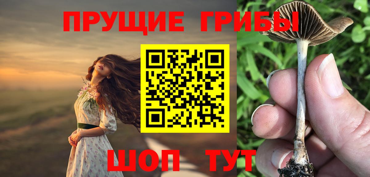 Псилоцибиновые грибы мухоморы  Галлюциногенные грибы Cubensis  Мичуринск  Вход с VPN 